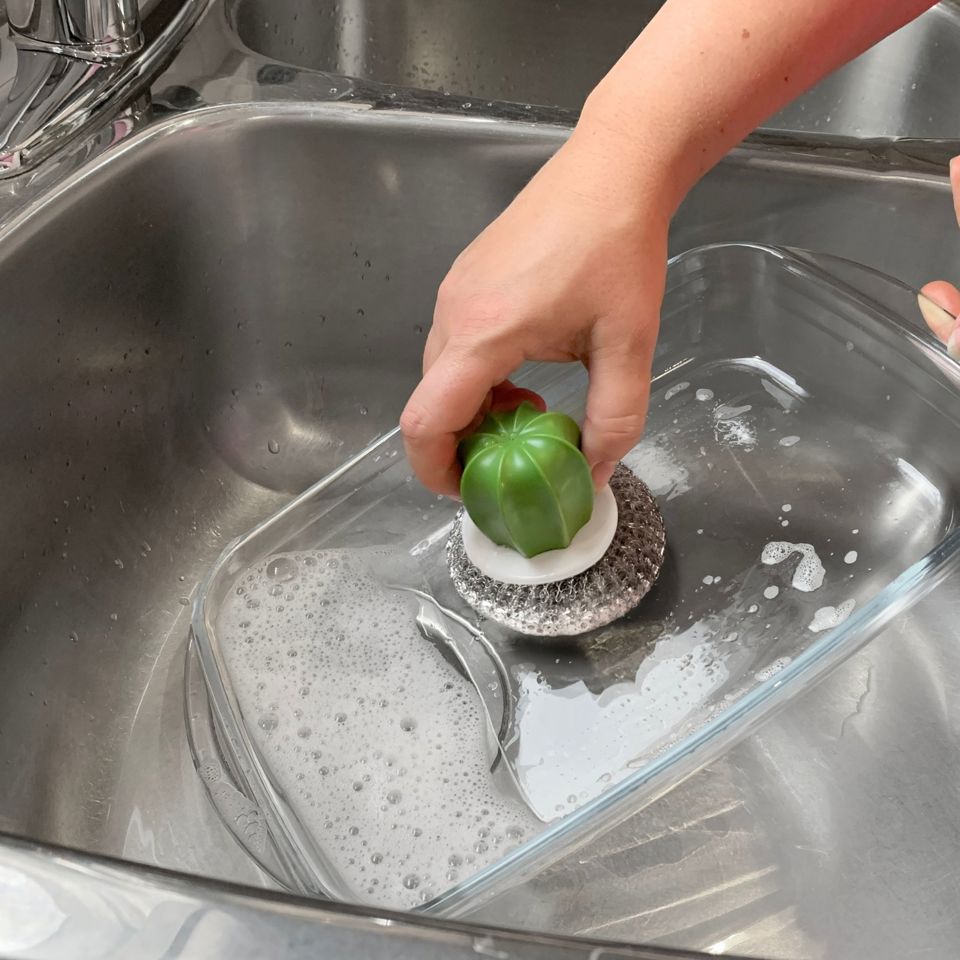 Brosse à Récurer Inox